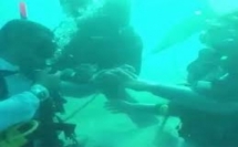 فيديو - اول حفل توديع عزوبية في البلاد تحت الماء بعمق ٣٠ متر لعريس من عرابة