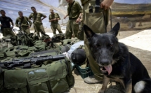 ضابط في الجيش الإسرائيلي يقتل كلبا هاجمه خلال تدريبه