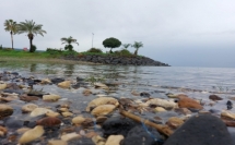 ارتفاع منسوب بحيرة طبريا بعد الأمطار الأخيرة