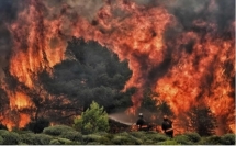 5 وفيات.. اندلاع 61 حريقا في اليونان خلال 24 ساعة