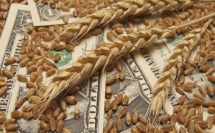 إسرائيل تسعى لاستيراد القمح من كازاخستان