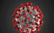 إصابات فيروس كورونا حول العالم تتخطى 211 مليون إصابة