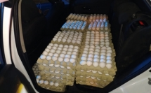 مطاردة بوليسيّة خلف شابة حاولت تهريب 4000 بيضة