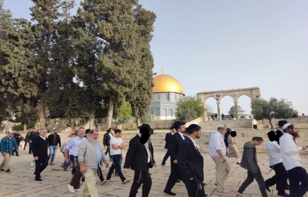 المحكمة المركزية في القدس تقبل استئناف الشرطة وتلغي قرار السماح بأداء طقوس وصلوات تلمودية في المسجد الاقصى